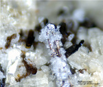 Eifel Mineralien Nickenicher Sattel Klinopyroxen
