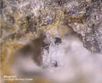 Eifel Mineralien Nickenicher Sattel Magnetit