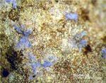 Eifel Mineralien Nickenicher Sattel Nickenichit