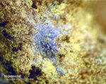 Eifel Mineralien Nickenicher Sattel Nickenichit
