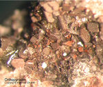 Eifel Mineralien Nickenicher Sattel Orthopyroxen