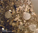 Eifel Mineralien Nickenicher Sattel Phillipsit