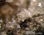 Eifel Mineralien Nickenicher Sattel Phillipsit