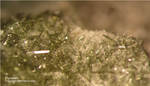 Eifel Mineralien Nickenicher Sattel Pyroxen