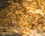 Eifel Mineralien Nickenicher Sattel Pyroxen