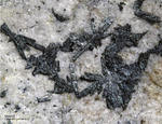 Eifel Mineralien Nickenicher Sattel Vivianit