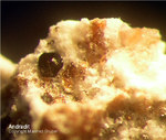 Eifel Mineralien Rothenberg Andradit
