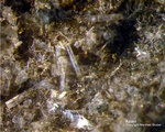 Eifel Mineralien Rothenberg Apatit
