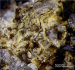 Eifel Mineralien Rothenberg Apophyllit