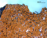 Eifel Mineralien Rothenberg Kaersutit