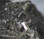 Eifel Mineralien Rothenberg Nephelin
