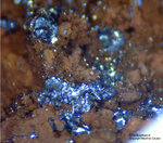 Lavrion Mineralien Christiana Chalkophanit