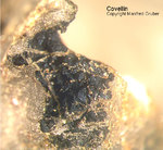 Mineralien Griechenland Lavrion Christiana Covellin