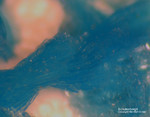 Mineralien Griechenland Lavrion Christiana Schulenbergit