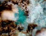 Griechenland Lavrion Mineralien Hilarion Agardit-Yttrium
