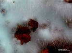 Griechenland Lavrion Mineralien Hilarion Agardit-Yttrium