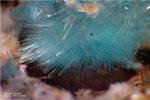 Griechenland Lavrion Mineralien Hilarion Agardit-Yttrium