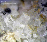 Lavrion Mineralien Megala Pefka Fluorit