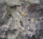 Eifel Mineralien Nickenicher Sattel Rhönit