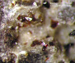 Eifel Mineralien Nickenicher Sattel Rhönit