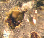 Eifel Mineralien Nickenicher Sattel Rhönit