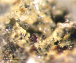 Eifel Mineralien Nickenicher Sattel Rhönit