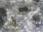 Lavrion Mineralien Plaka Antimon