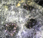 Lavrion Mineralien Plaka Antimon