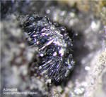 Lavrion Mineralien Plaka Antimon