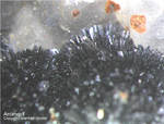 Lavrion Mineralien Plaka Antimon