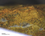 Griechenland Lavrion Mineralien Plaka Nontronit