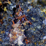 Griechenland Lavrion Mineralien Plaka Pyrostilpnit