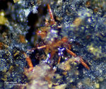 Griechenland Lavrion Mineralien Plaka Pyrostilpnit
