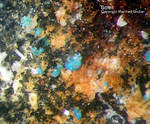 Lavrion Mineralien Passa Limani Boleit