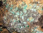 Harz Mineralien Glockenhütte Schulenbergit