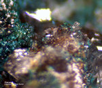 Harz Mineralien Juliushütte Astfeld Atacamit