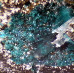 Harz Mineralien Juliushütte Astfeld Atacamit