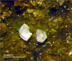 Harz Mineralien Juliushütte Astfeld Susannit