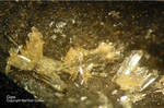 Harz Mineralien Lautenthal Gips