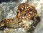 Harz Mineralien Lautenthal Kupfer