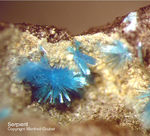 Harz Mineralien Lautenthal Serpierit