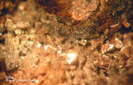 Harz Mineralien Lautenthal Silber