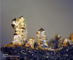 Harz Mineralien Lautenthal Silber