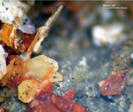 Harz Mineralien Lautenthal Massicotit