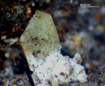 Harz Mineralien Lautenthal Massicotit