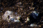 Harz Mineralien Schlackental Bastenbergit