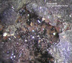 Harz Mineralien Schlackental Beudantit