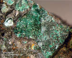 Harz Mineralien Schlackental Brochantit