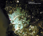 Harz Mineralien Schlackental Caledonit