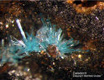 Harz Mineralien Schlackental Caledonit